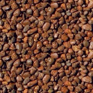 Meet your Posher, Jeremiah